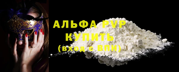 стаф Новозыбков