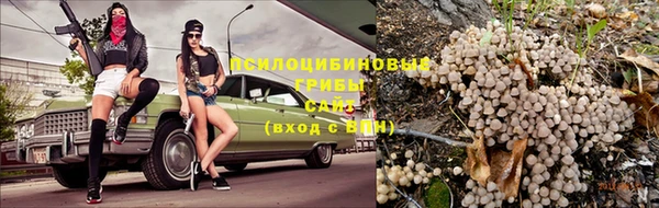 дурь Алзамай
