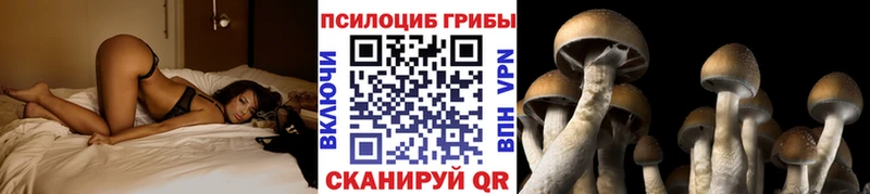 Галлюциногенные грибы мухоморы  мега рабочий сайт  Слюдянка 